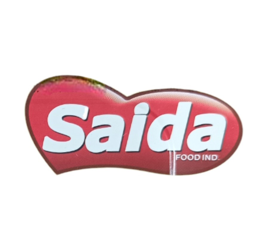 صيدا