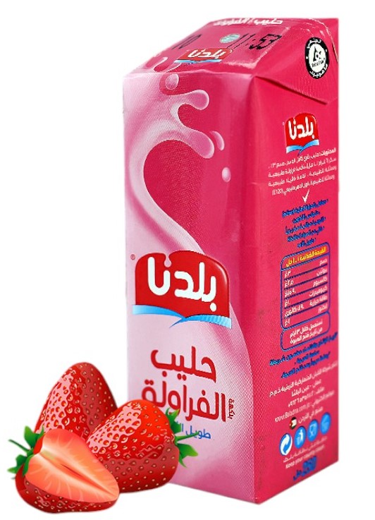 مطعمات بلدنا فراولة 250 مل * 24